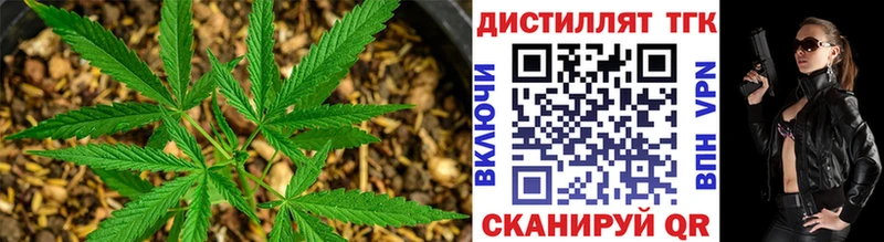 ТГК концентрат  MEGA   Орск 