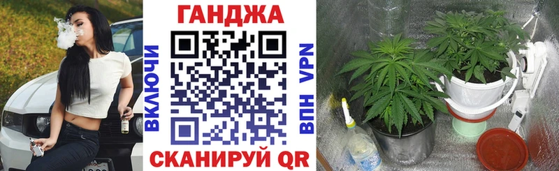 где купить наркоту  Орск  МАРИХУАНА Bruce Banner 